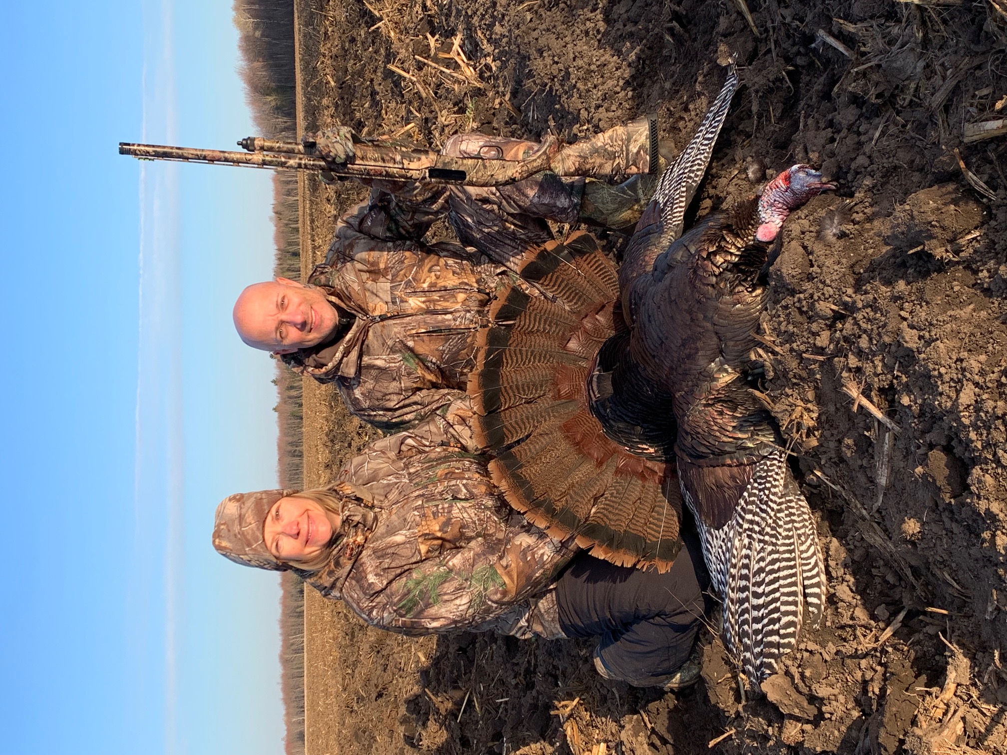 Chasse au dindon sauvage